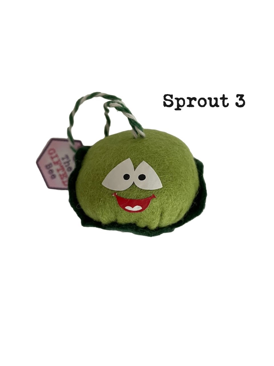 SAS 3